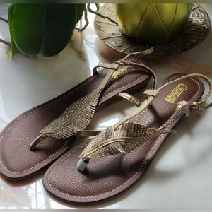 Elegant Gold and Brown Carlos Santana "Tandy" Sandals